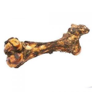 mammoth dog bone